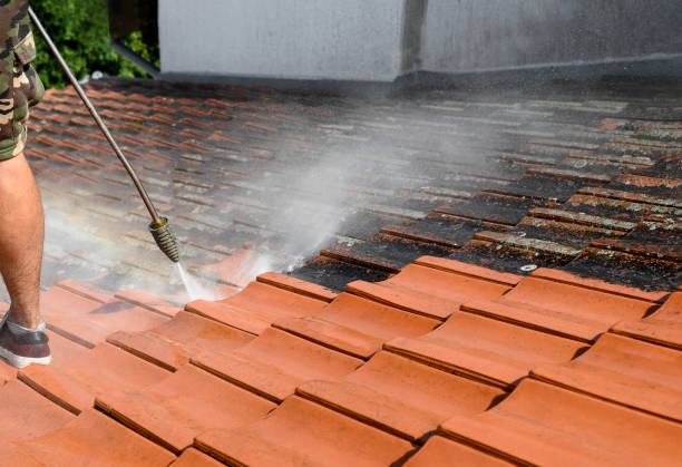 Reliable Sheffield, AL Pressure Washing Solutions
