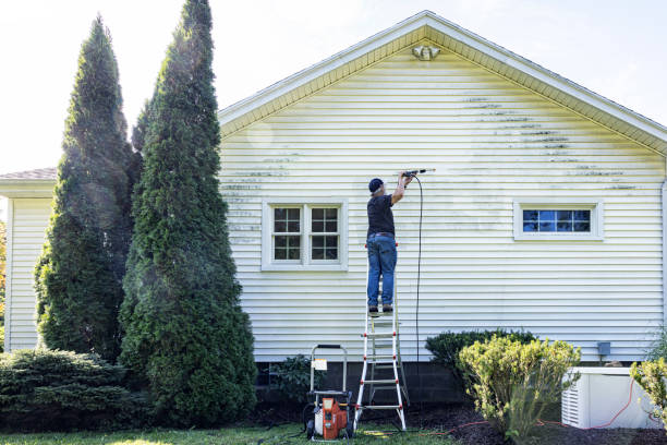 Best Roof Power Washing Services  in Sheffield, AL